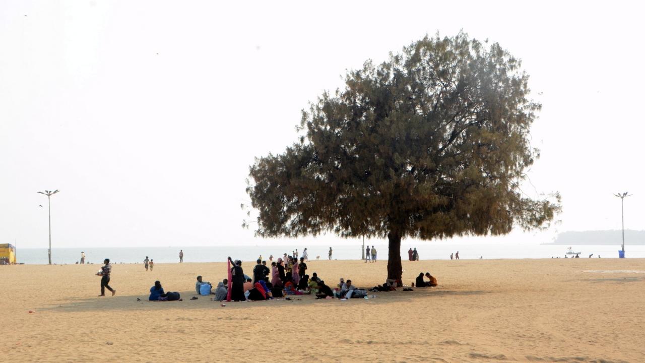 <p>To get some much-needed respite from the heat, families sit under a tree at Chhatrapati Shivaji Terminus Square, Fort. Pic/Satej Shinde</p>